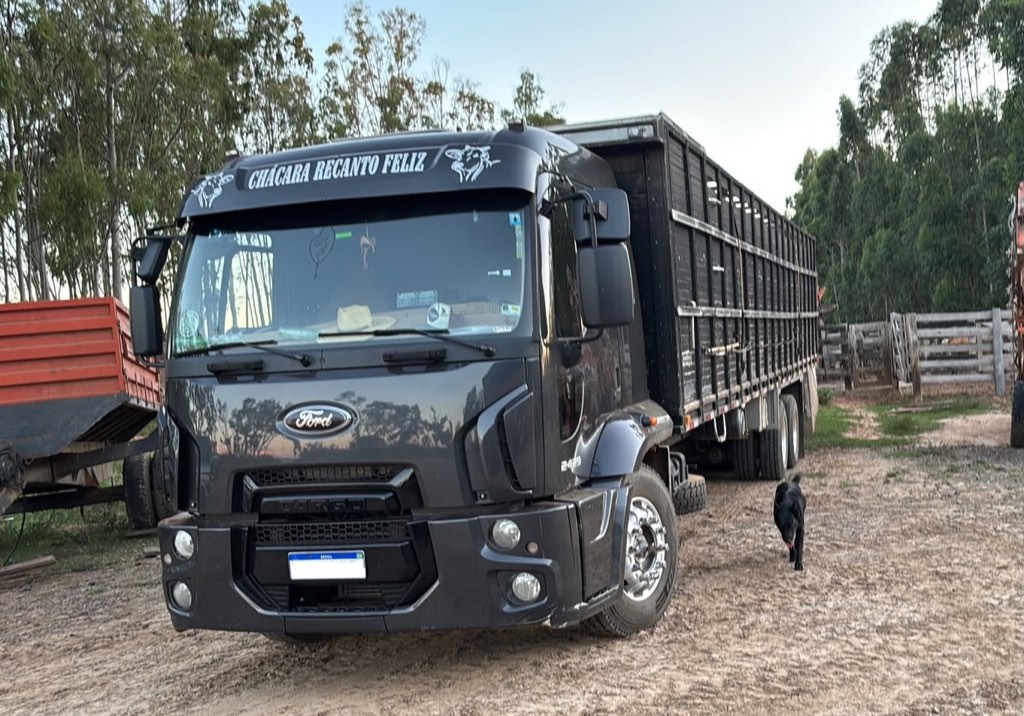 Caminhão boiadeiro Ford Cargo da JCM com carroceria para transporte de bovinos, na fazenda